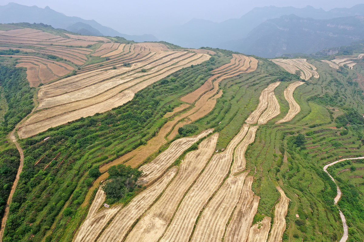 太行老爹指的是什么 300字