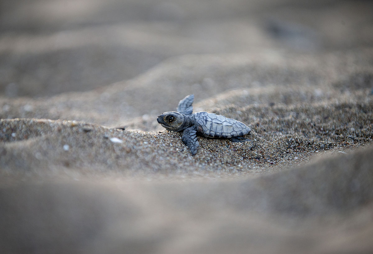 2019年贵州哪些大专学校的康复治疗专业好