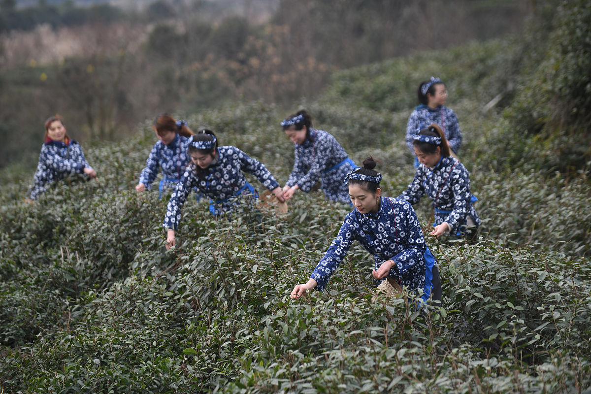 关于四川绵竹水利施工总承包二级资质新办及转让多少钱字数