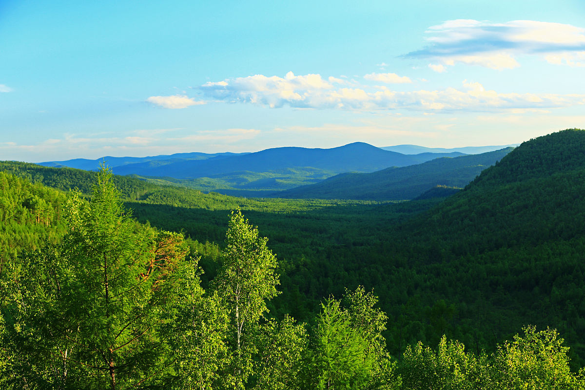 绿水青山就是金山银山: 从政治理念到塞罕坝实践