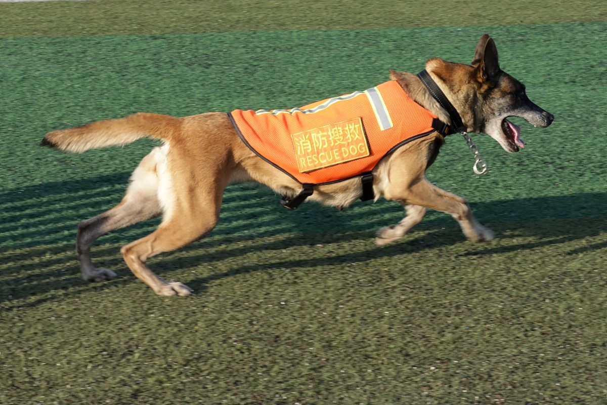 湖南大众传媒职业技术学院移动互联应用技术专业就业前景广阔