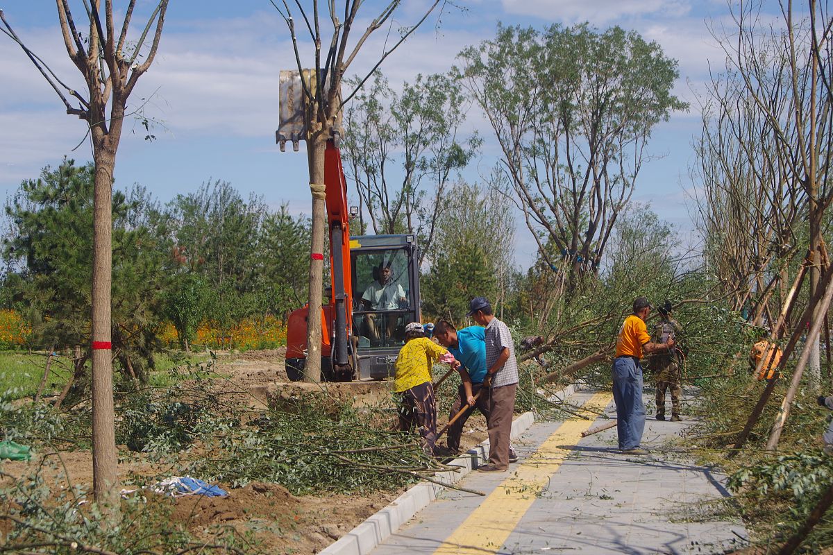园林工程施工质量控制问题及改进措施：深度分析与实践建议