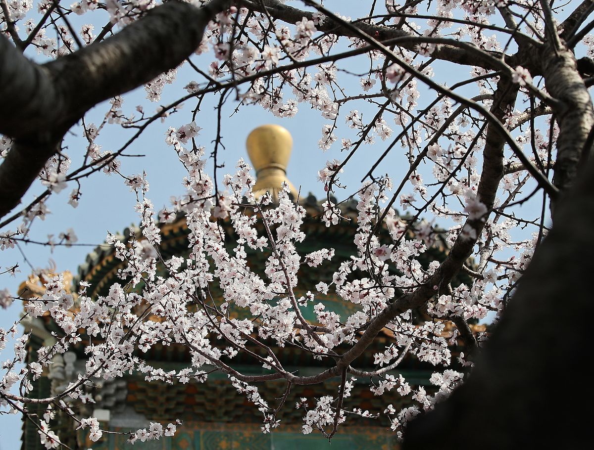 北海幼儿师范学校2022年招生简章好不好
