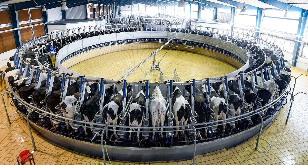 巴卡尼系统奶罐容量及拓展内容