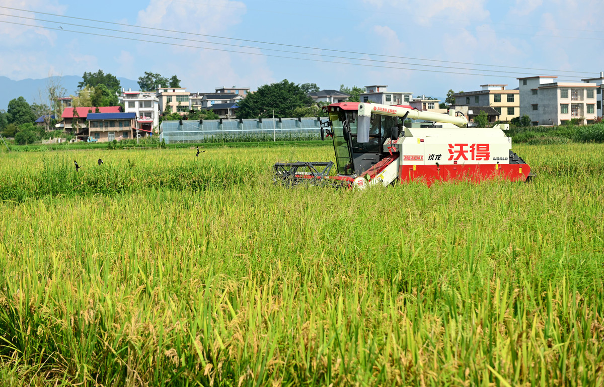 重庆市璧山职业教育中心农业机械使用与维护专业如何好学吗