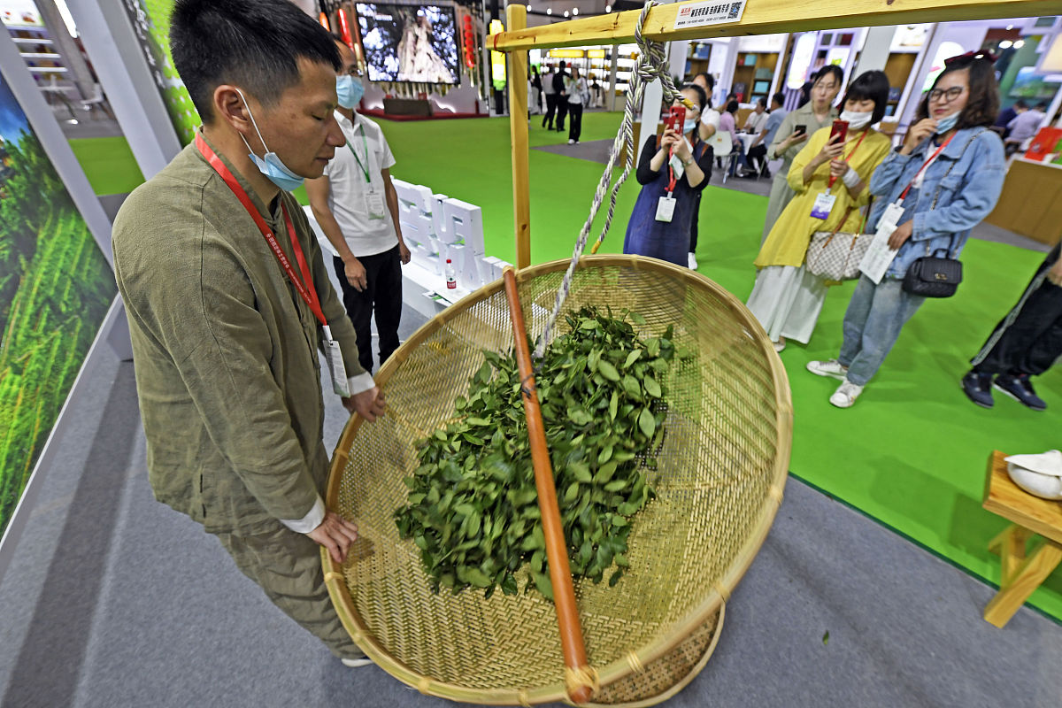 2021年5月21日,杭州,制茶师正在展示安溪铁观音制作工艺中的摇青技艺.