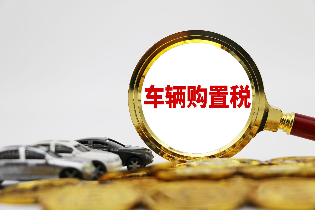 加强车辆购置税税种管理：提升税收征管效率的实践探索