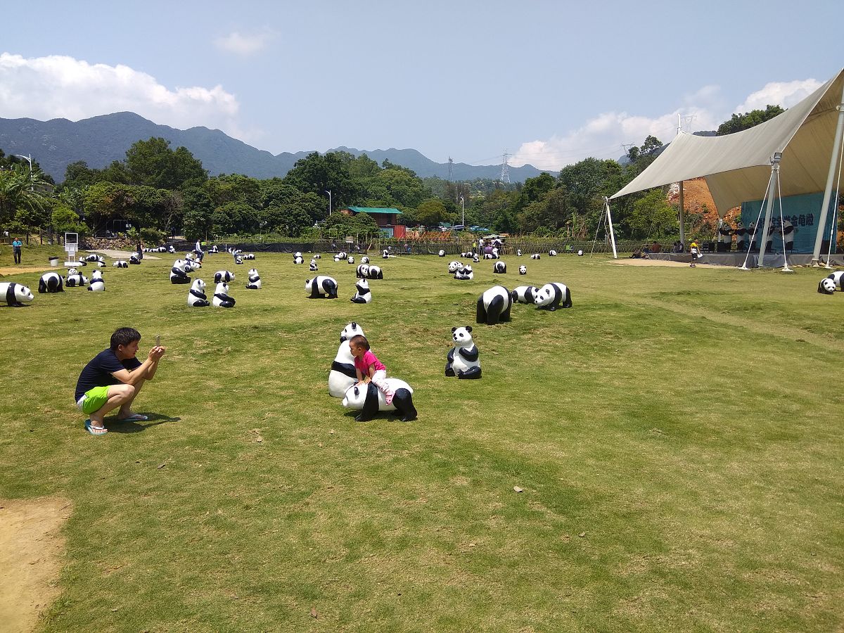 牛老板有钱却骑自行车？揭秘背后的三个原因！