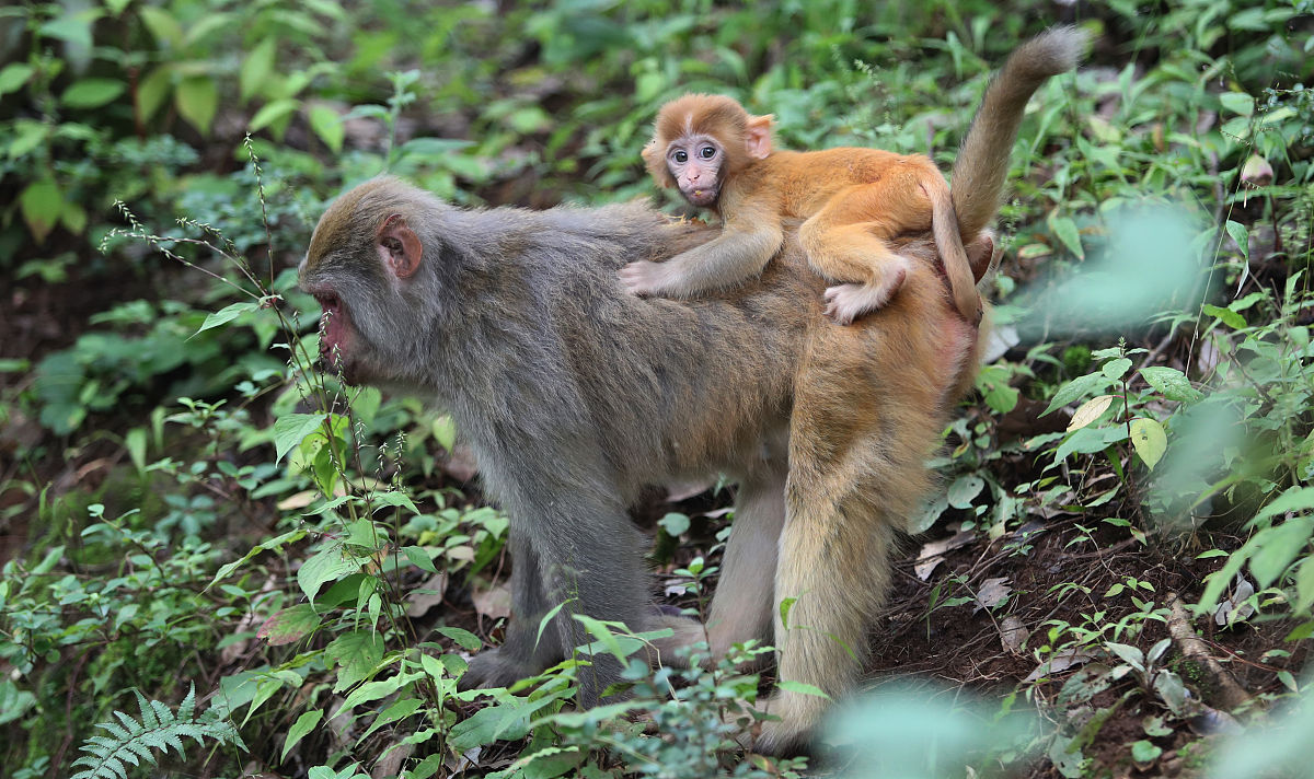 大理中等职业学校2021年招生条件：入学指南