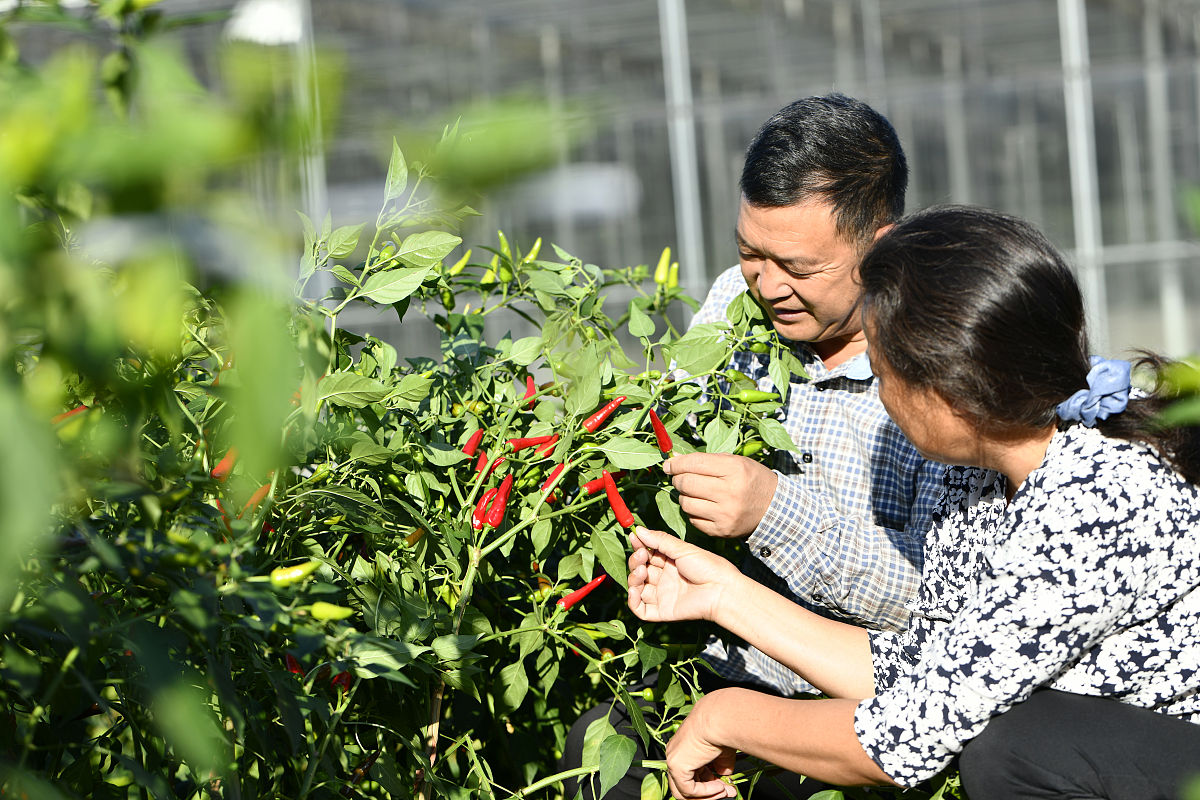 贵州职校护理专业为什么值得去读？