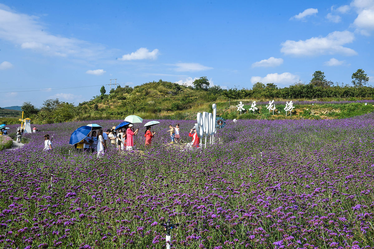 贵阳护理职业学院五年制大专地址在哪里