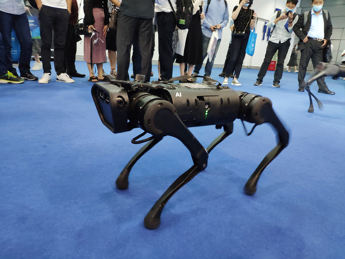 比利时根特大学六足蝎子机器人