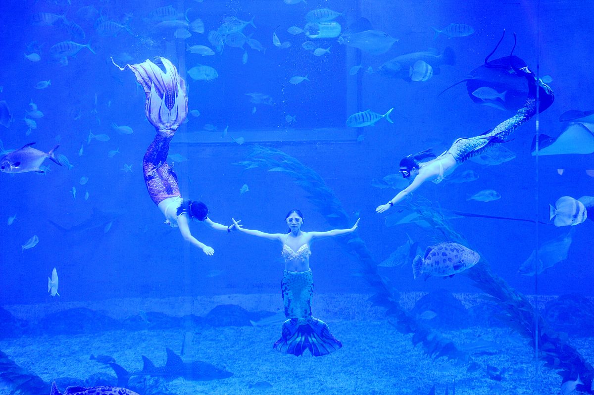 日照市海洋工程学校荣誉