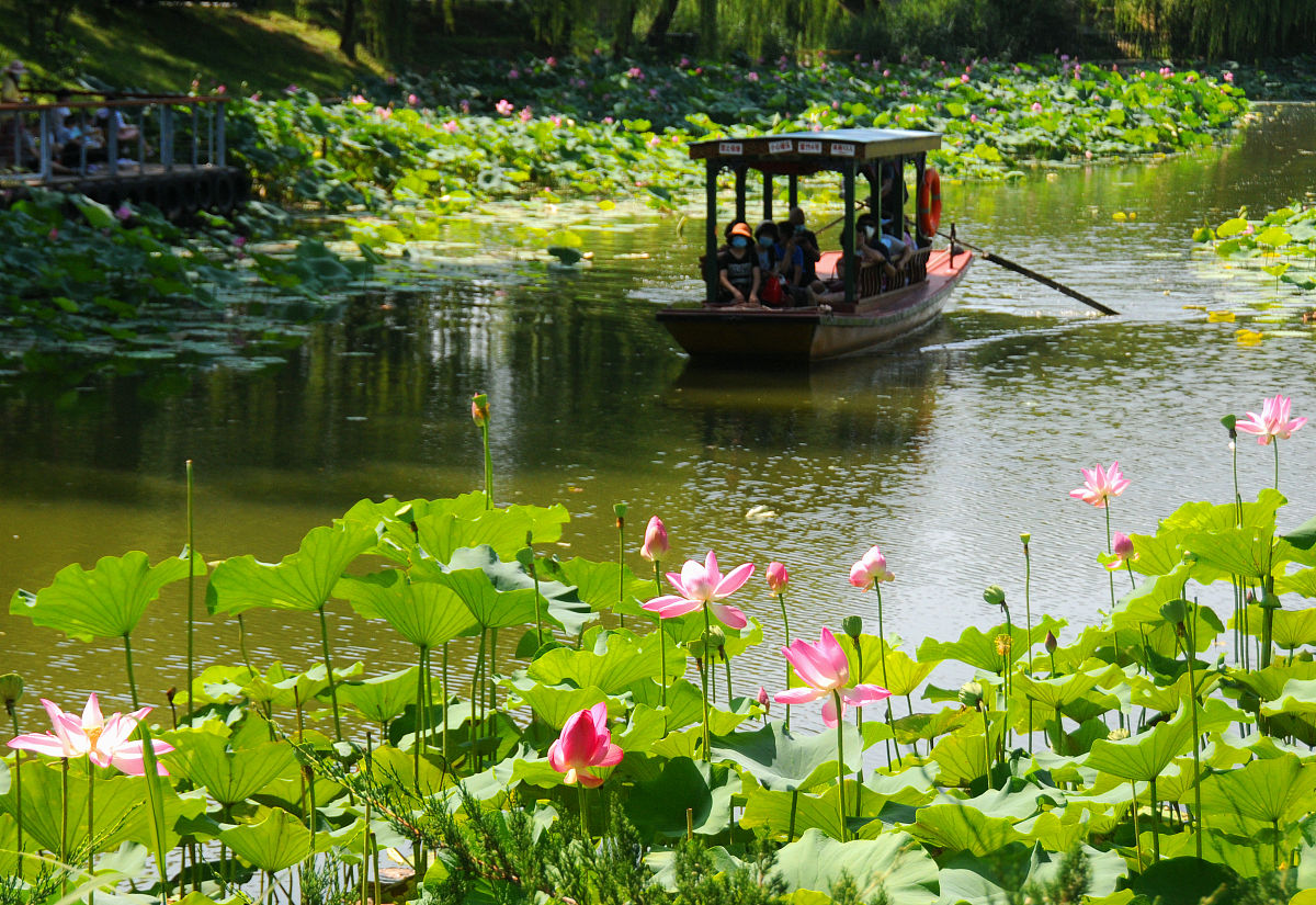 江门荷塘职业技术学校2022年招生简章怎么样
