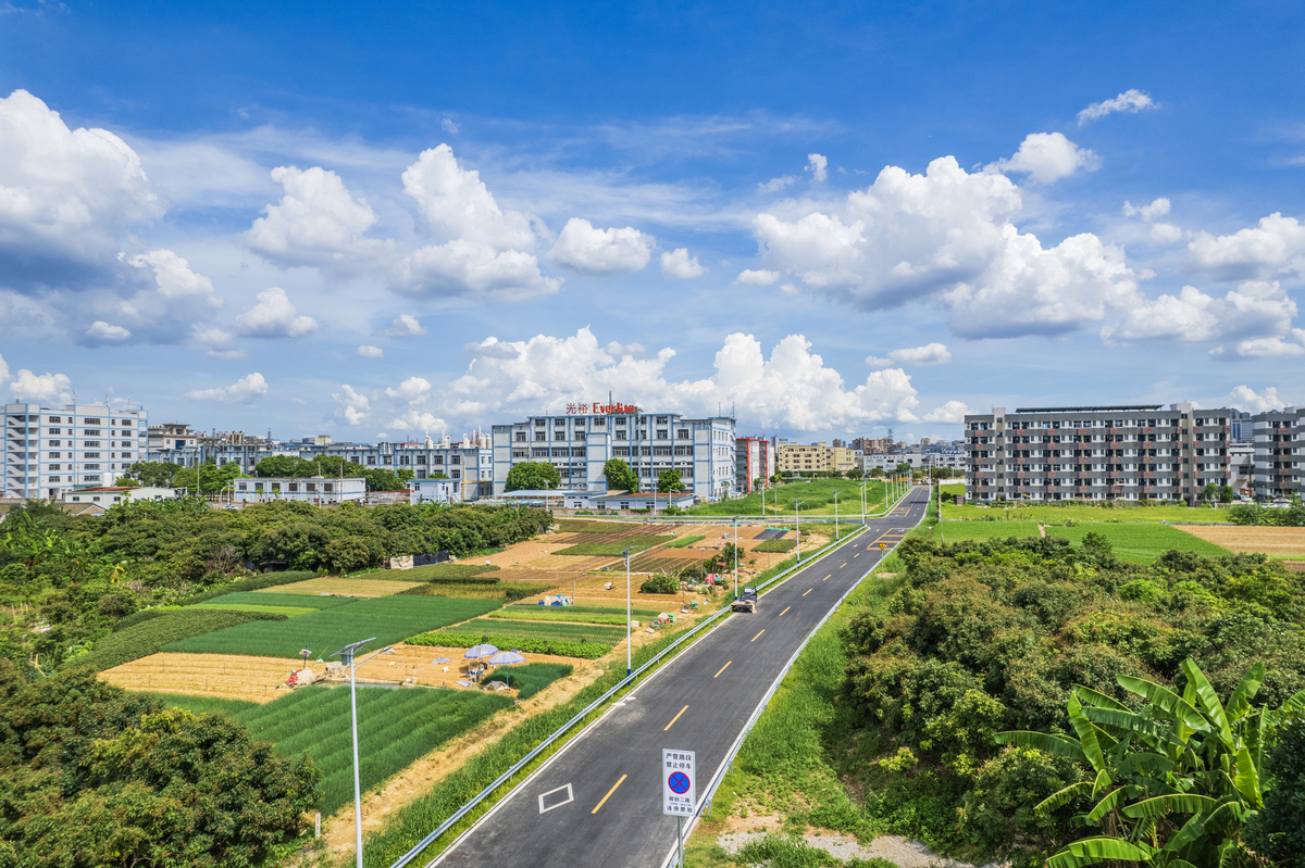 廉江 vs 信宜：哪个城市更发达？经济数据对比