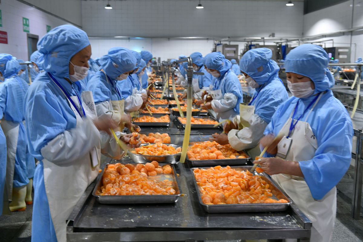 大名职教中心农产品加工与保鲜专业怎么样