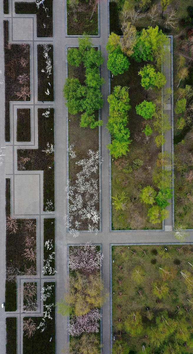 Tian et al reported that upright plant architecture in modern hybrids provides opportunities for dense planting providing new insights into high-density-yield maize breeding按照crop science 期刊的润色上面的句子