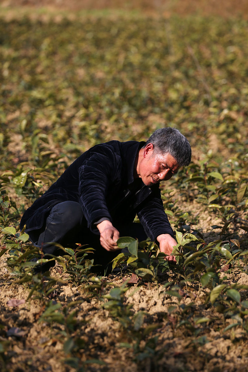 重庆万盛职教中心招生电话：2021年招生简章