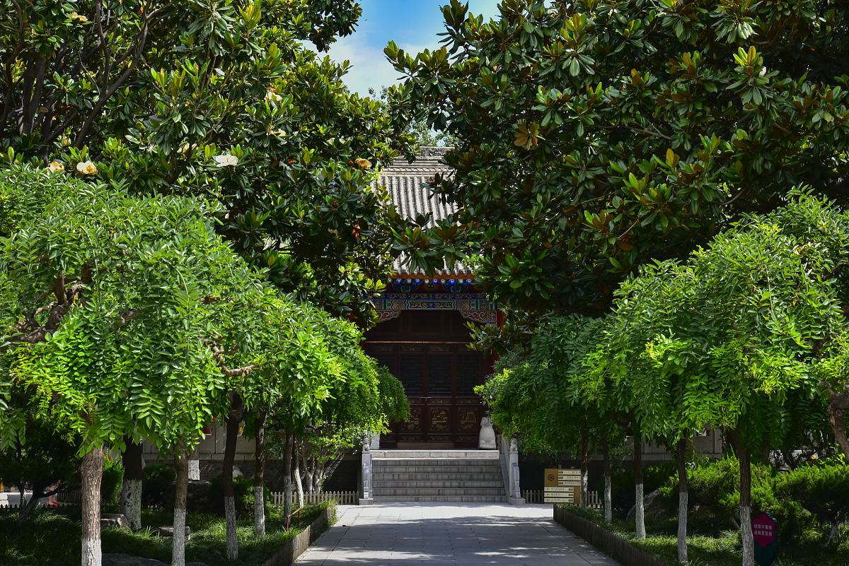 咸阳读中专学校：入学条件、热门专业及就业前景