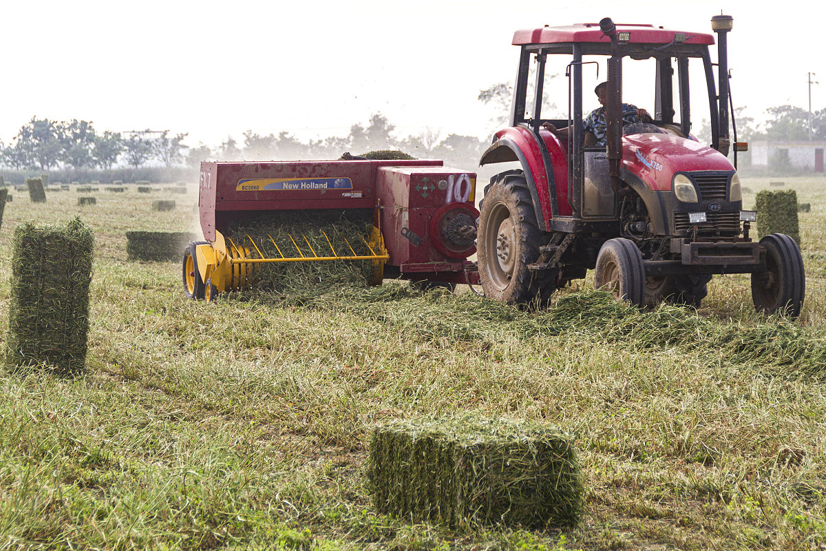 2023长春市农业学校招生简章