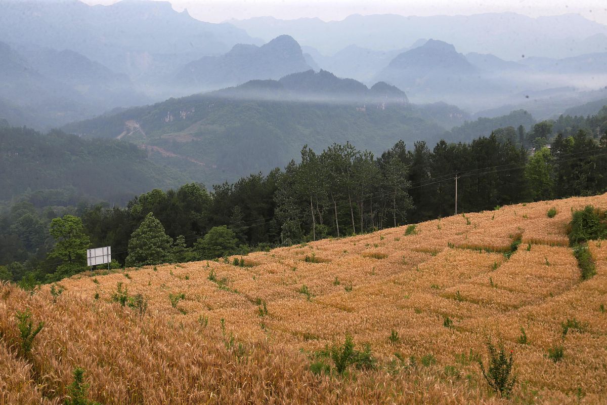 重庆黔江区民族职业教育中心服装设计与生产管理教学质量如何