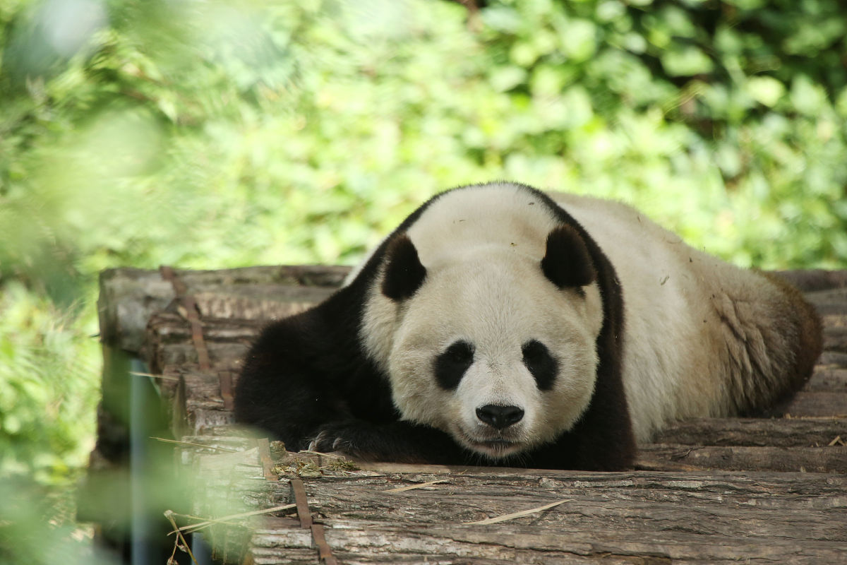 汉中读中专学校好还是高中好好不好