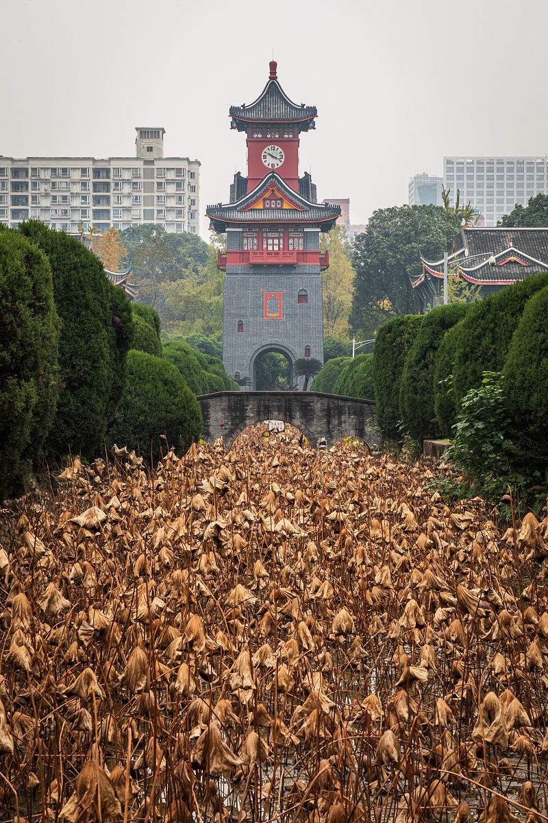四川哪所学校是公办的学校推荐