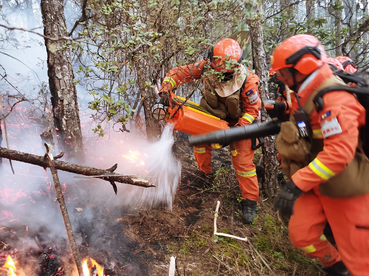 森林防火课程：如何预防和应对森林火灾
