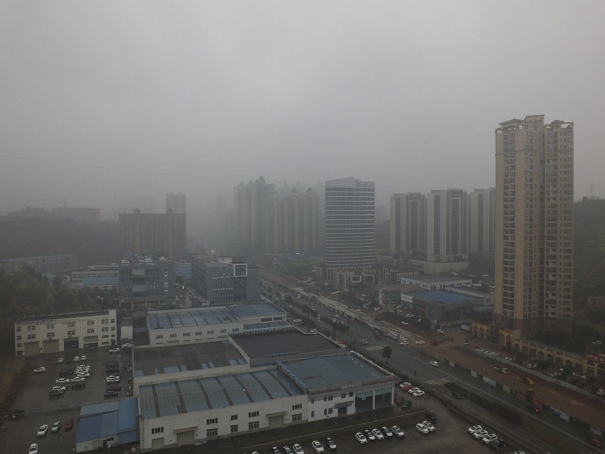 倒春寒次数下降，产量损失却在增加：气候变化带来新挑战