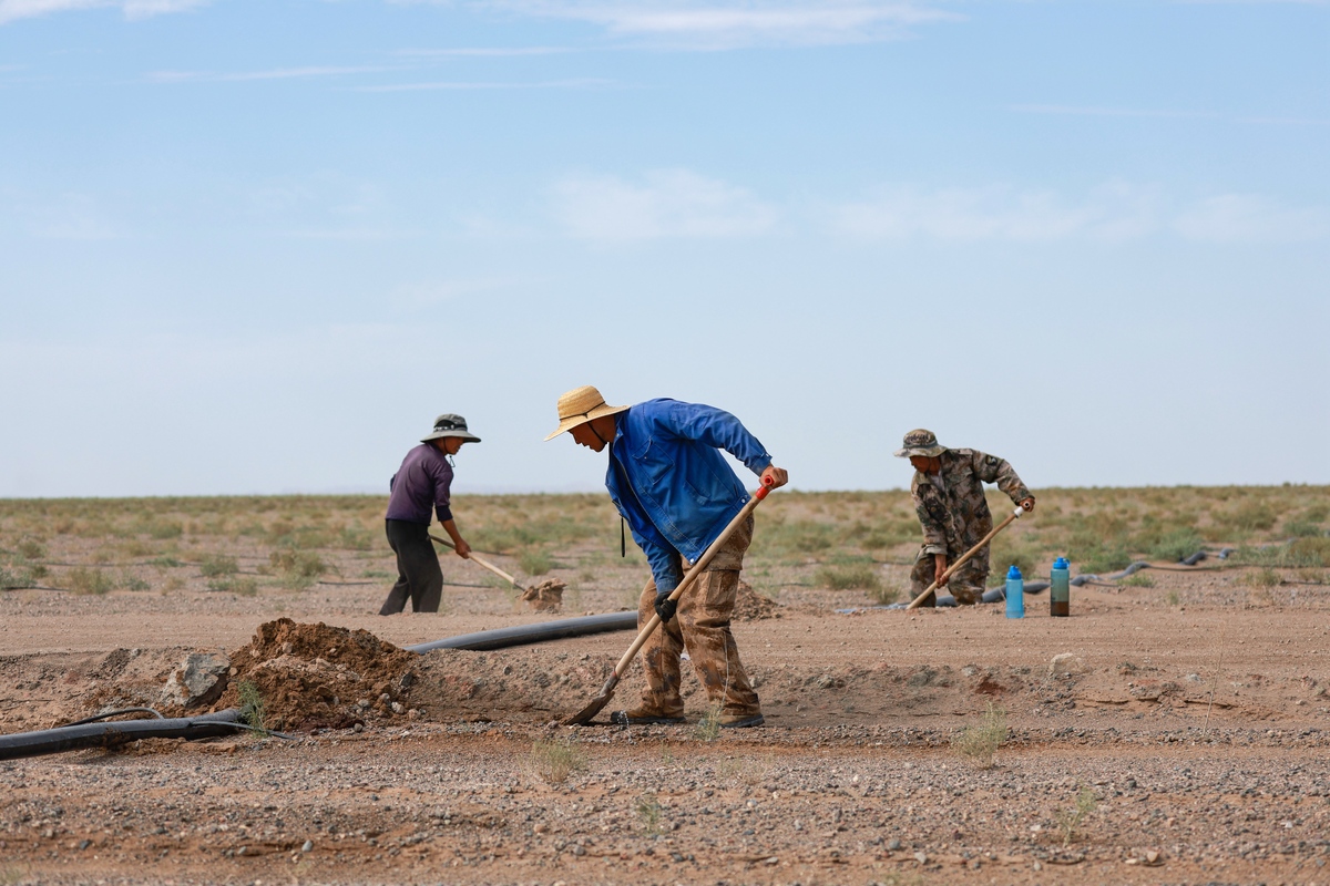 孙国友万亩荒漠种树20年，600亩树木枯死，跪地求水引关注