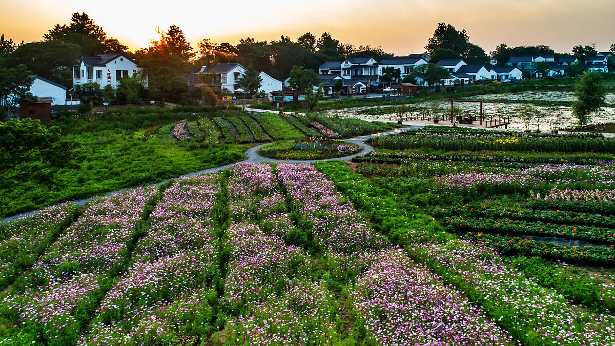 南京2023年卫校有哪些比较好-怎么样