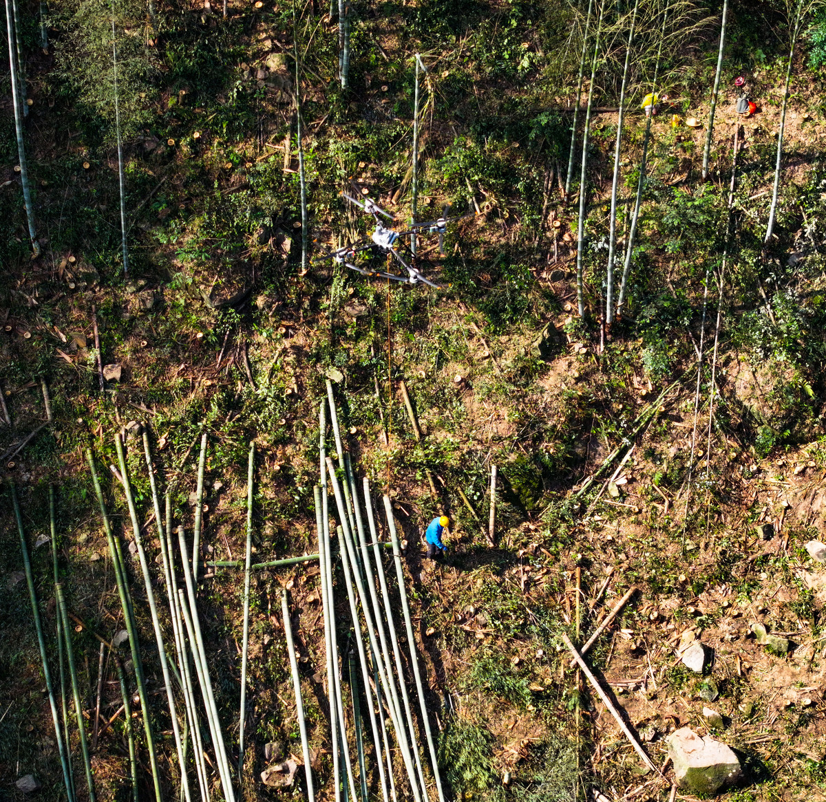 写一段一个人孤独的朋友圈文案 可以结合去山里玩 挖竹笋 飙车场景