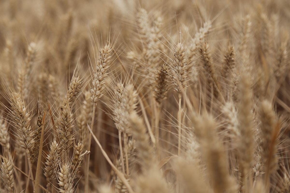 陕西省农业机械化学校2022年招生条件及录取要求-附报名时间