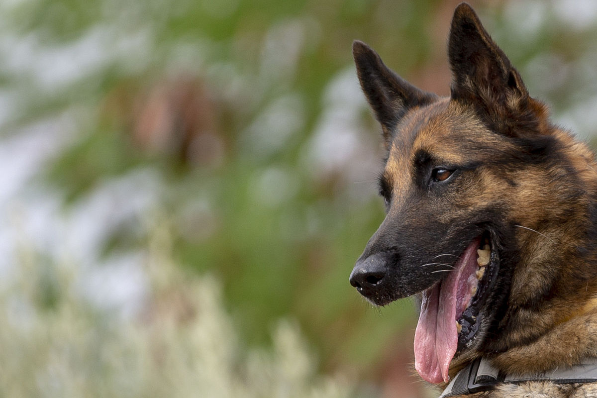 云南航空外事外语职业学院民航运输就业前景分析怎么样