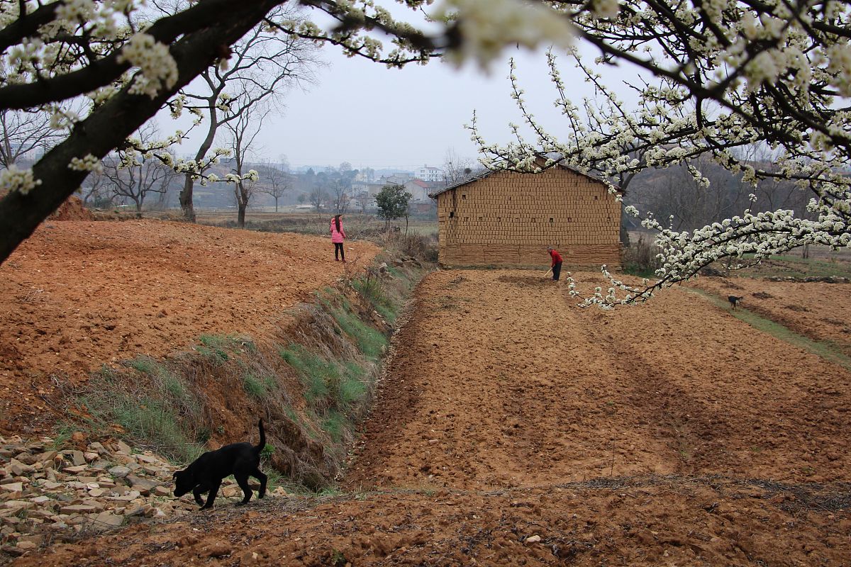 大悟中等职业学校2022年招生简章-热门专业-报名时间