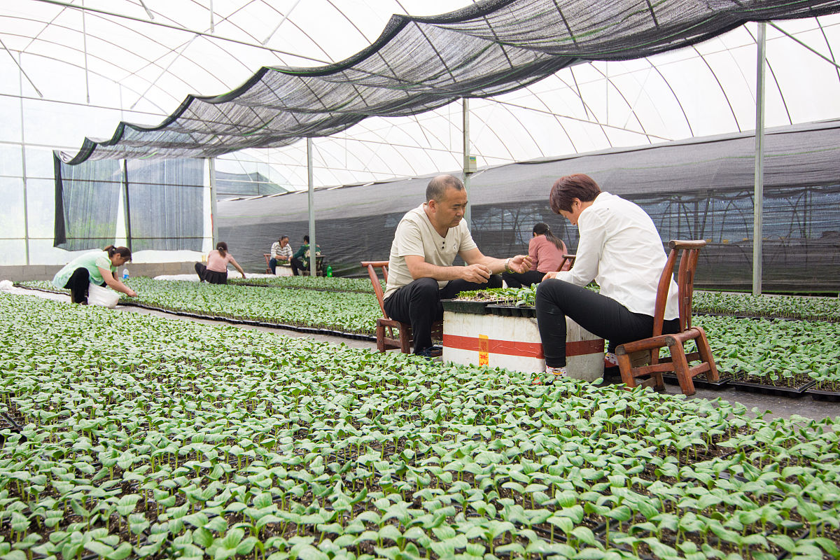 重庆农业学校观光农业经营专业怎么样？前景如何