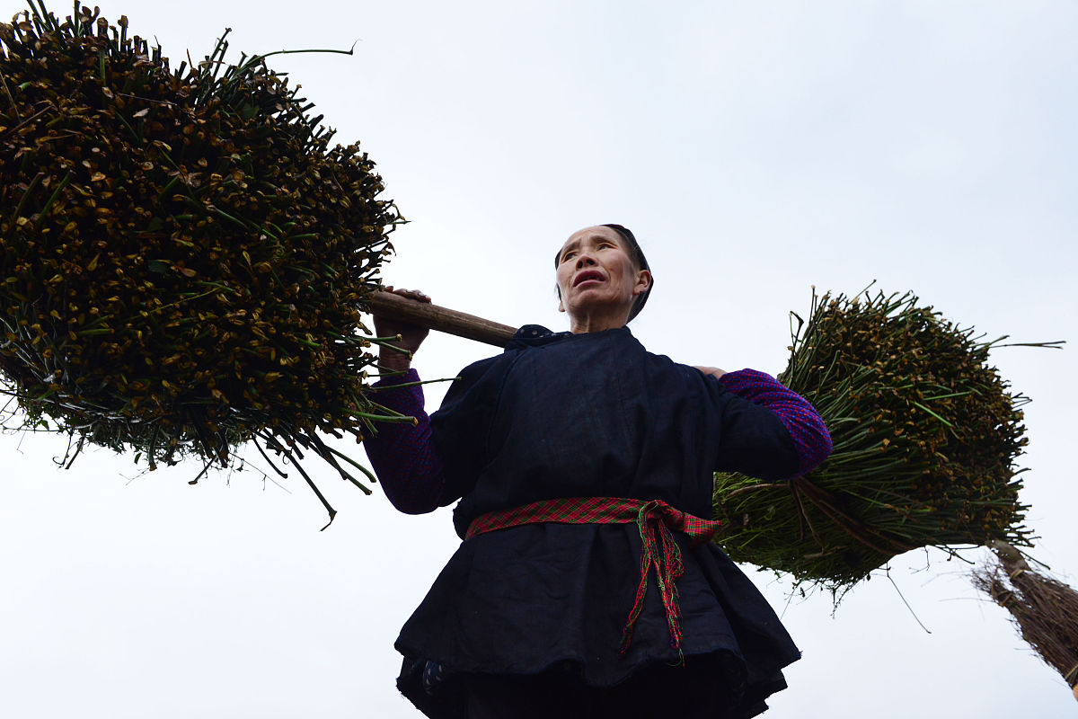 灵山职业技术学校2021年招生专业介绍 - 热门专业一览