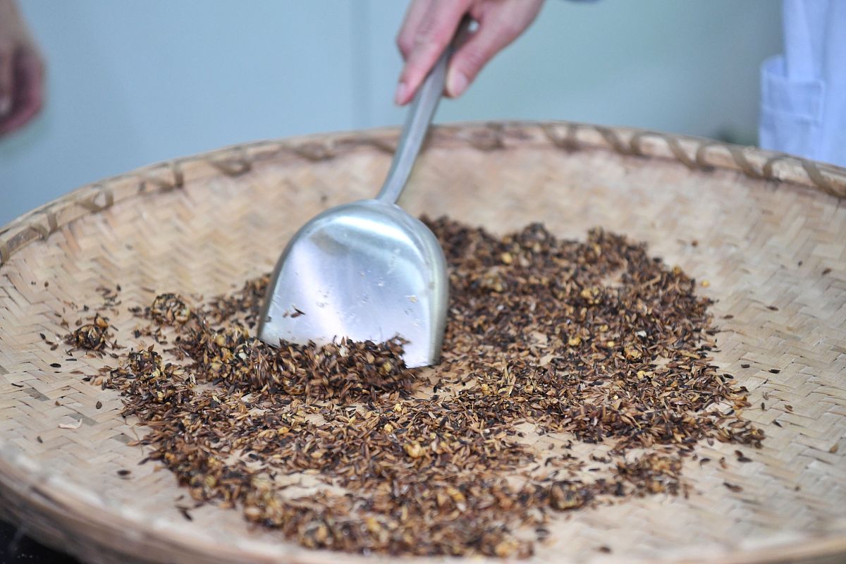 蔡甸区卫生学校2022年招生简章 - 医学梦想启航