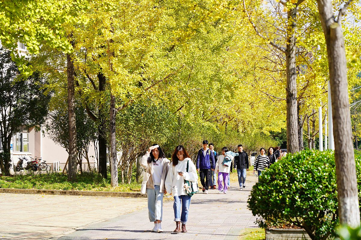 2020年成都信息工程大学银杏酒店管理学院文化产业管理本科专业介绍