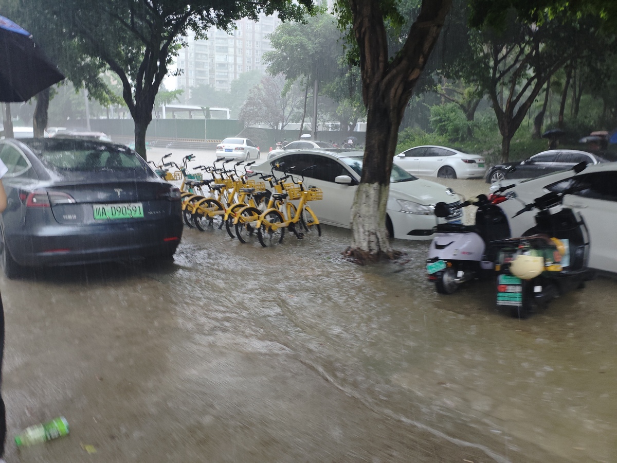 增城地区道路积水引发的工厂淹没及地铁停运风险分析