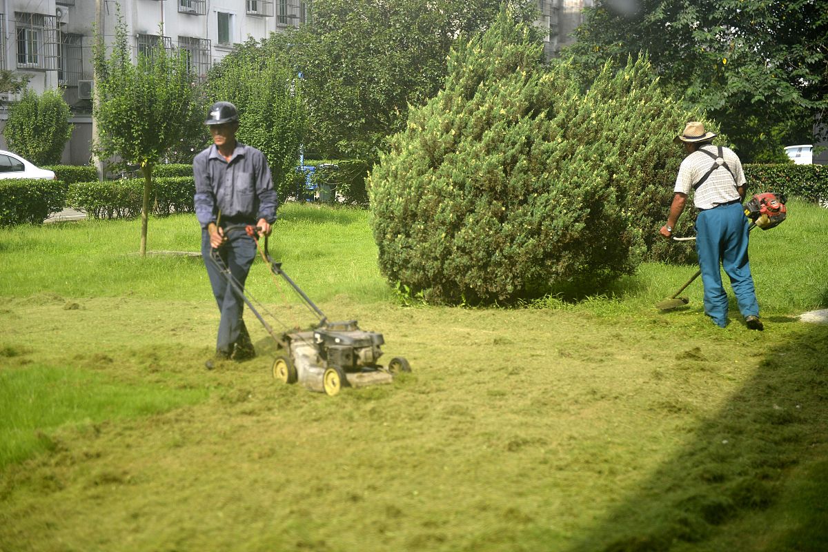 绿化养护每月进度目标