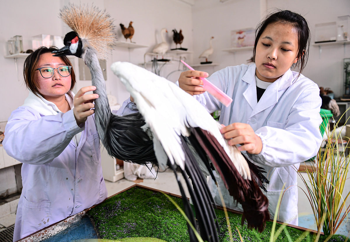 成都铁路专业学校招生要求严格吗？