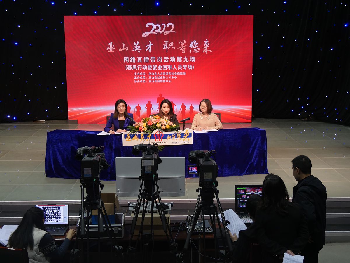 巫山县工程师评审：评估体系及发展建议