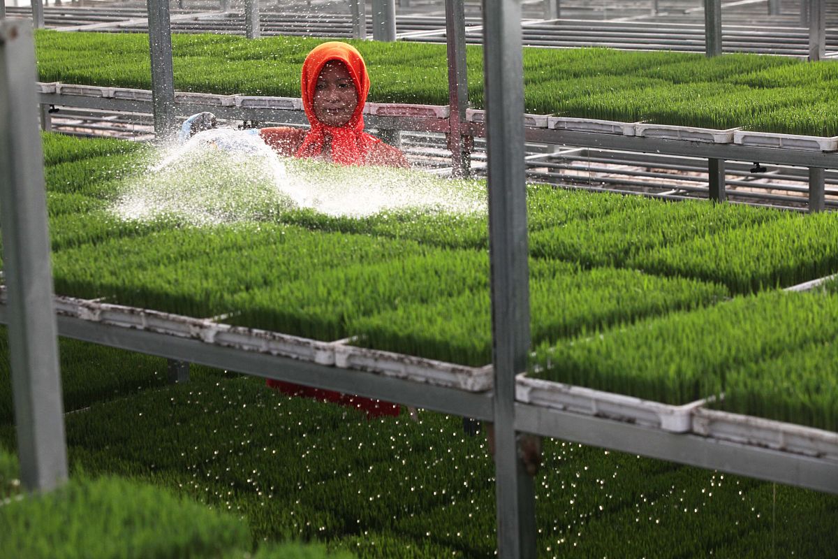 智慧种植建设方案