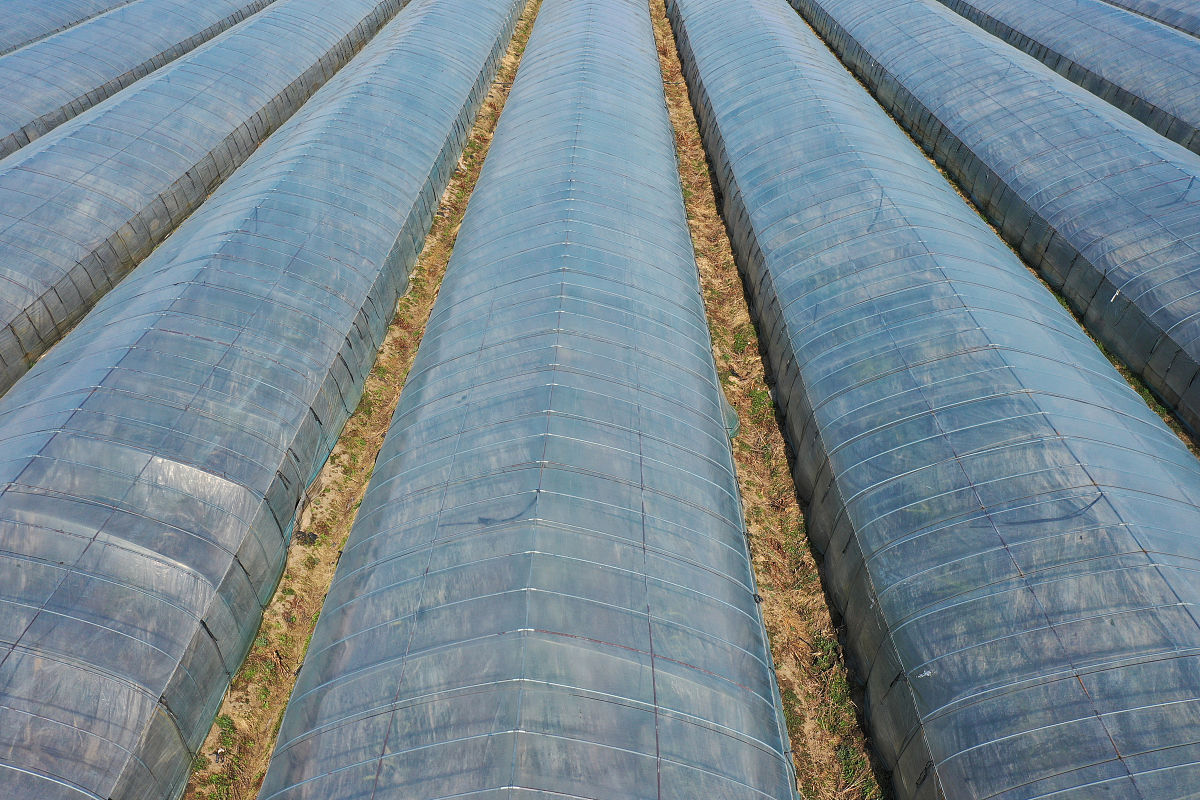 曲靖农校五年制高职特色专业：培养农业科技与现代管理人才