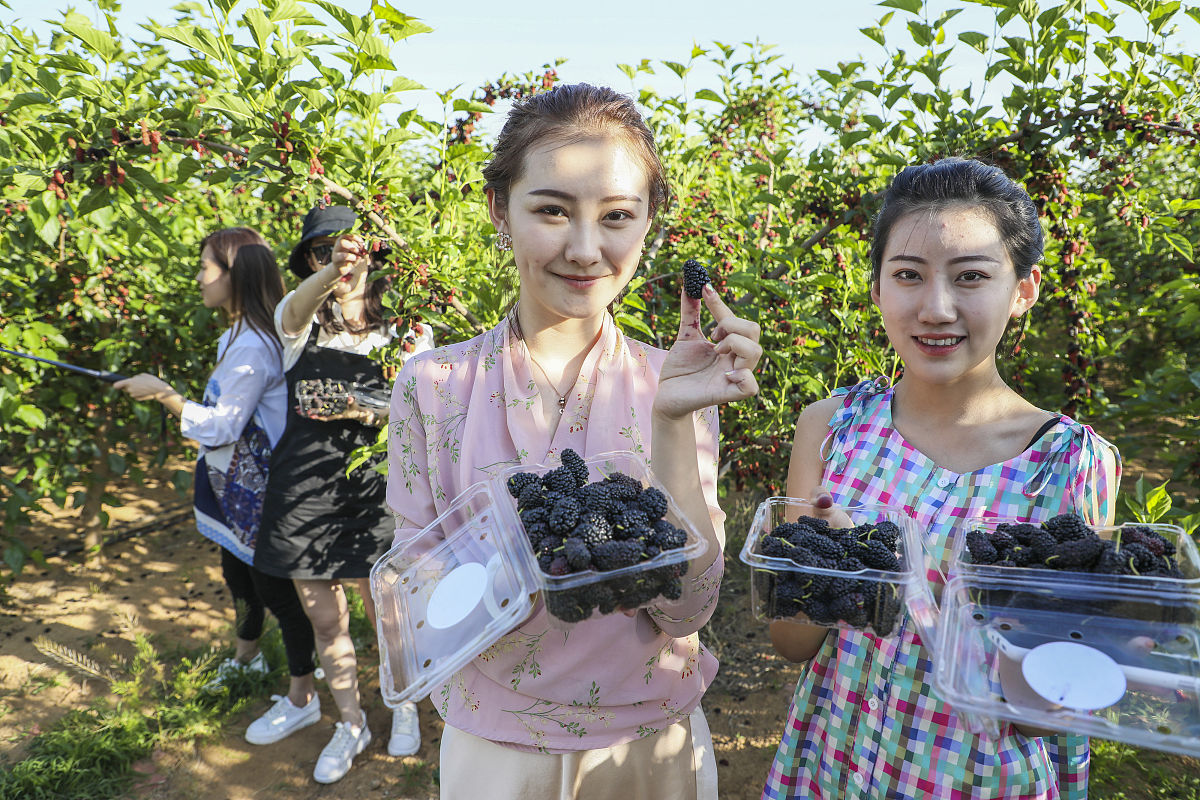 农村中年女性的网络直播：精神满足与物质希望