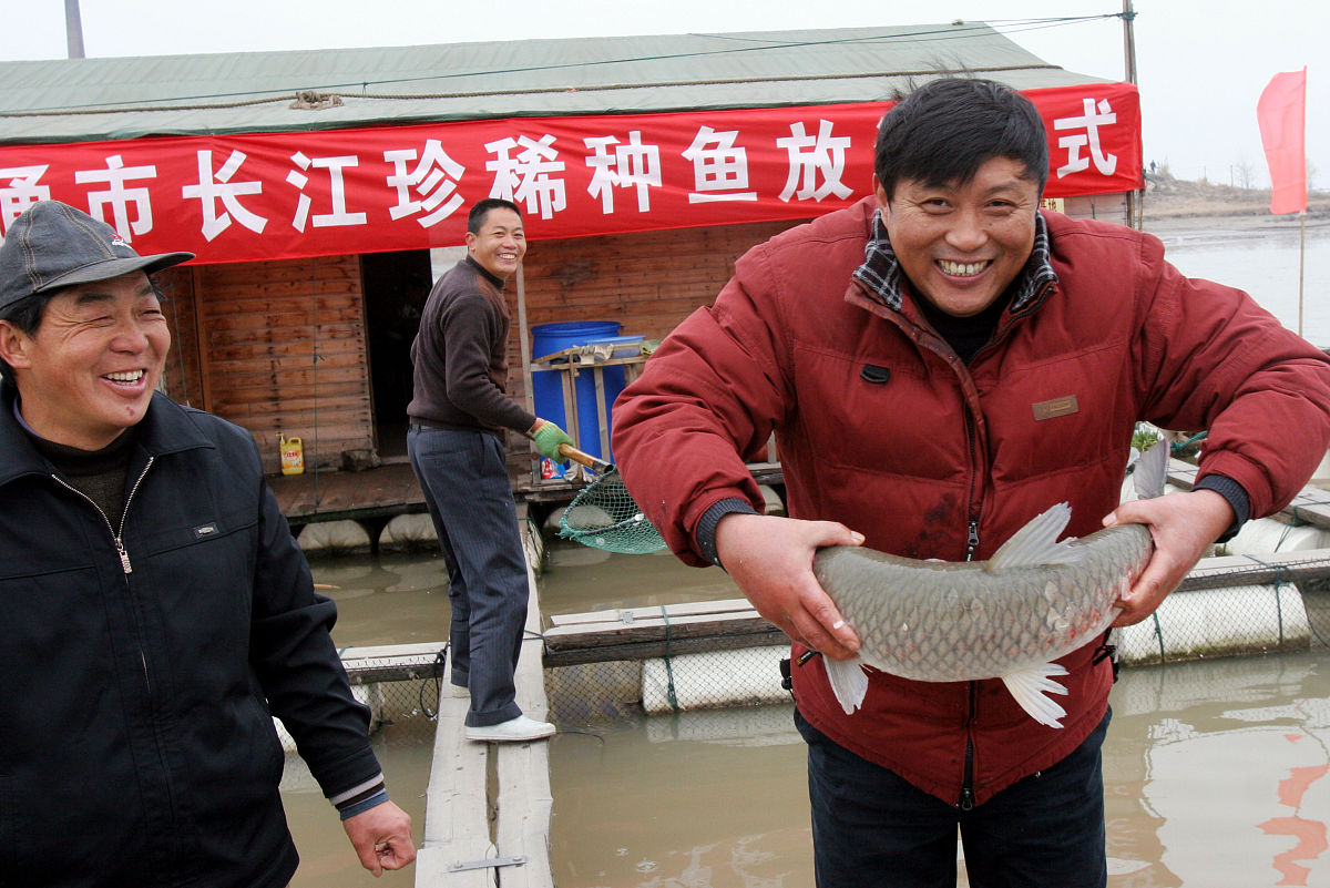 武汉课题汇报成功,长江鱼儿庆贺诗 武汉课题汇报成功,长江鱼儿庆贺诗