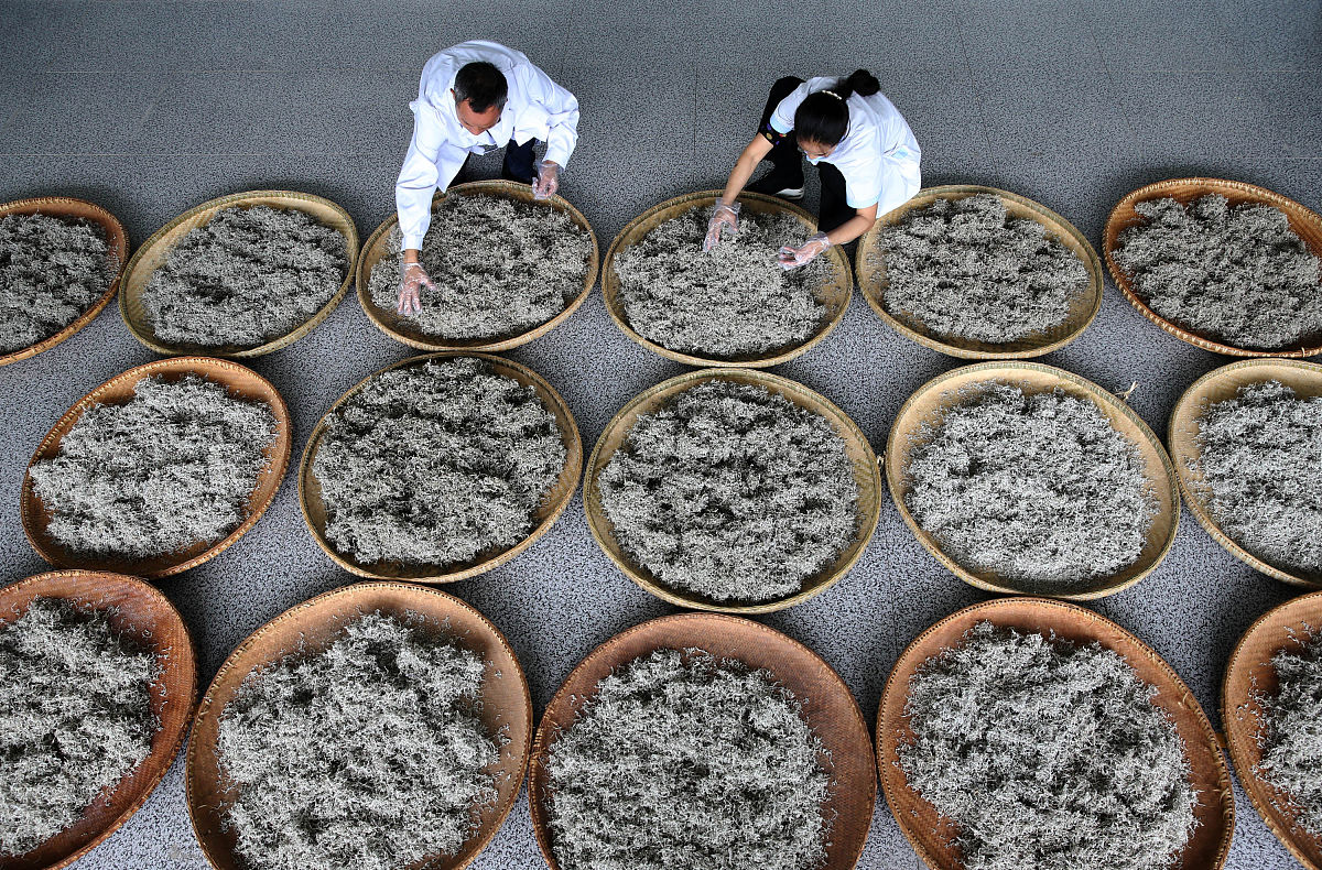 重庆卫生技工学校2019年招生报名指南：考试内容、专业选择、录取流程