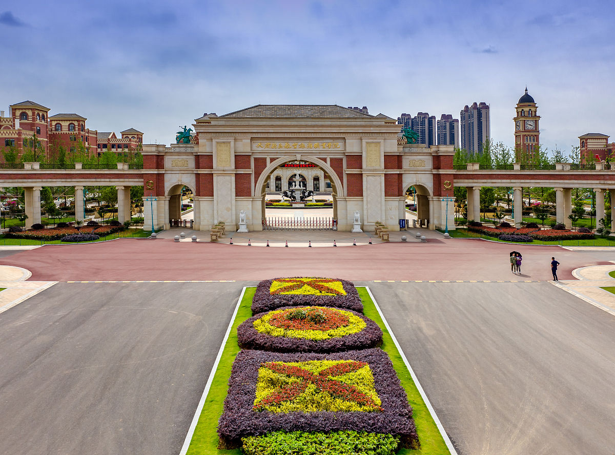 眉山航空旅游学校是公立吗