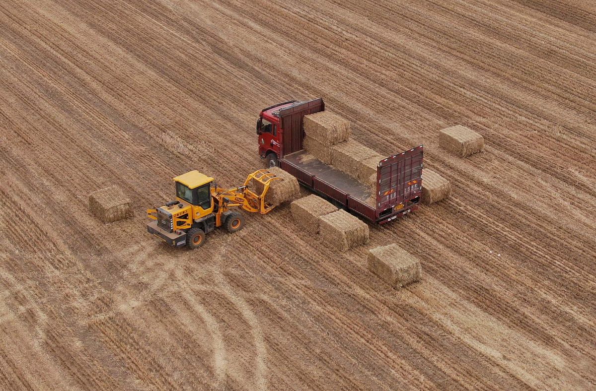 合肥汽车机械技术学校2021年报名条件：入学要求及准备指南